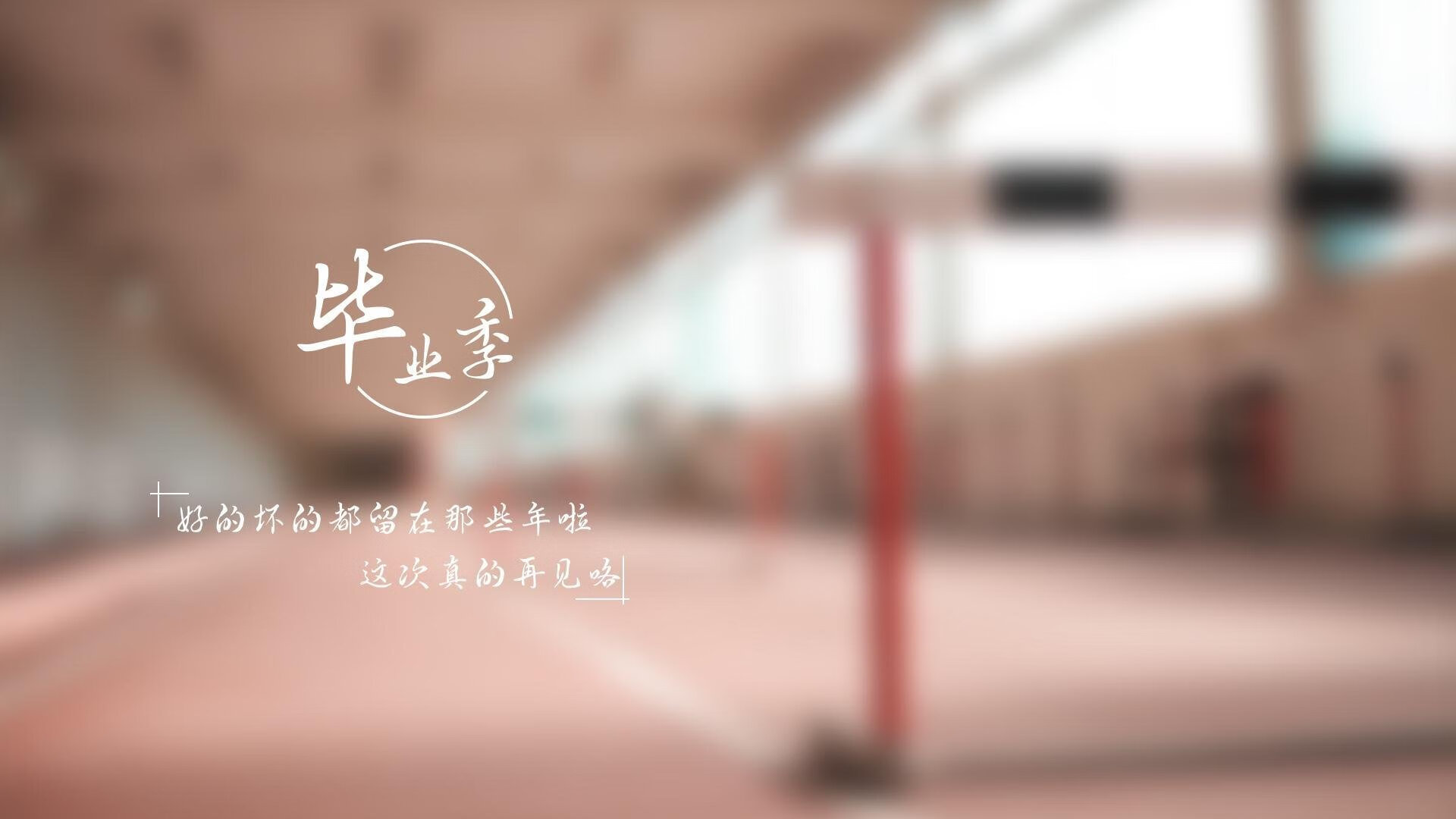 fb体育-勒沃库森冲击联赛前四，勒沃库森是强队吗