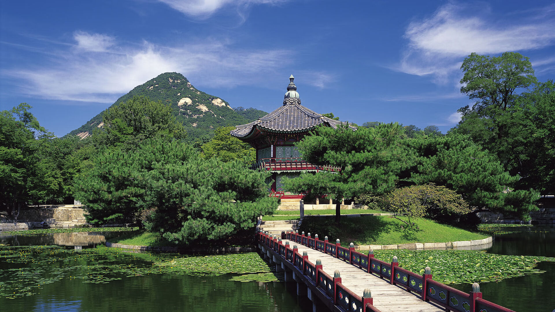 智利神锋梅开二度，帮助球队夺冠，智利神锋梅开二度,帮助球队夺冠是哪一集