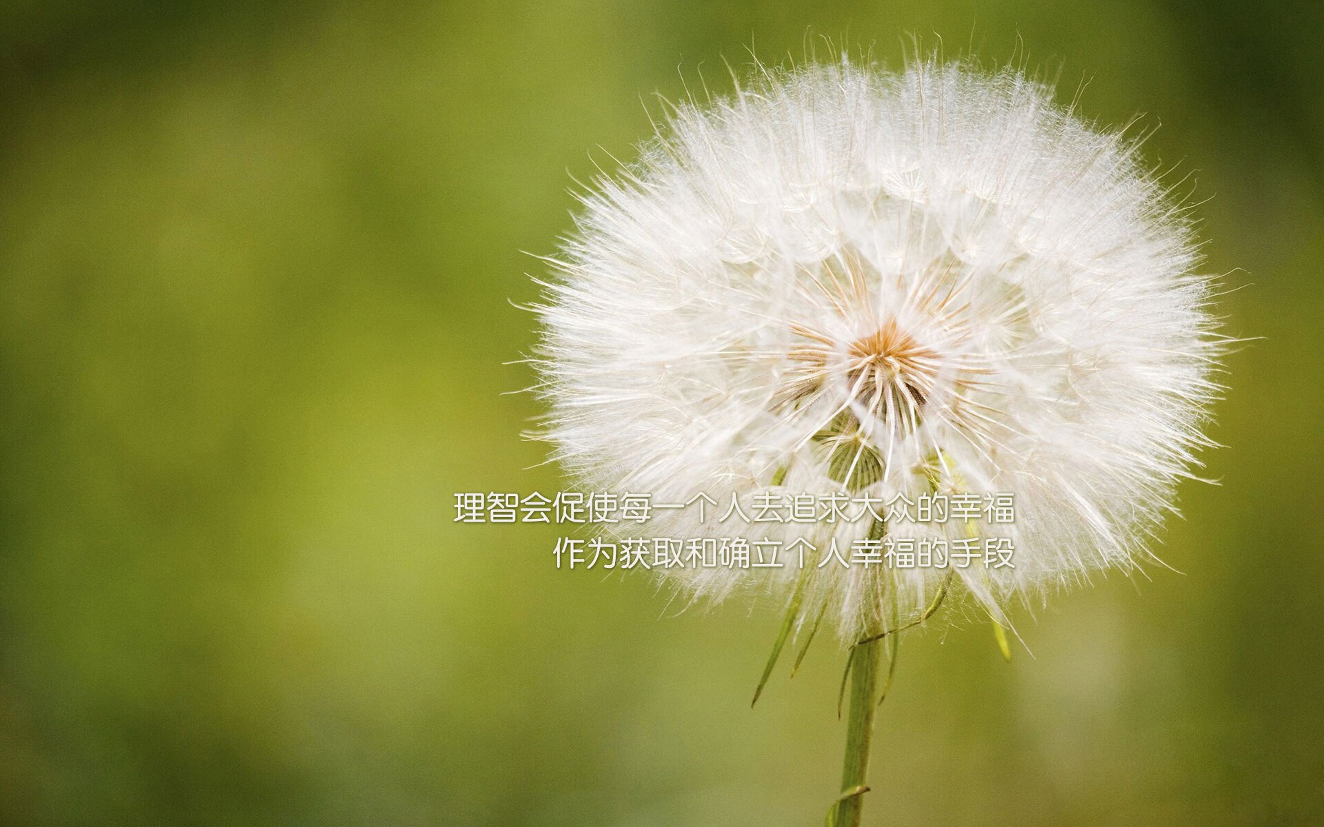 洛杉矶FC计划举办青少年足球训练营，培养未来之星，洛杉矶的足球队