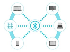 fb体育登录入口-体育新闻中心上线体育内容智能推荐系统，《体育新闻》